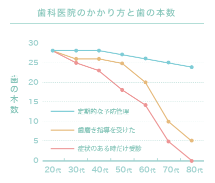 歯科医院のかかり方と歯の本数